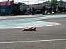 P1010169.JPG