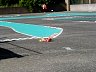 P1010226.JPG