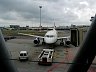 P1010241.JPG