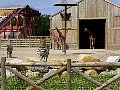 100_0179.jpg
