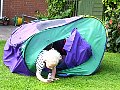 100_0257.jpg